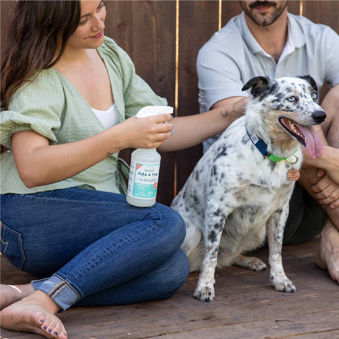 A woman sprays Wondercide 128 oz. Cedarwood Flea & Tick Spray with natural essential oils on a happy black-and-white dog on a wooden deck; the spray is safe for both dogs and cats.