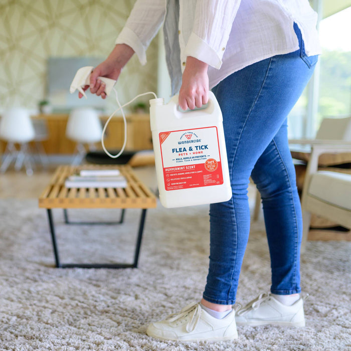 A person in jeans and white sneakers holds a 128 oz. Wondercide Peppermint Flea & Tick Spray with spray nozzle, made from natural essential oils and safe for pets, standing on a carpeted floor in a bright, modern living room.
