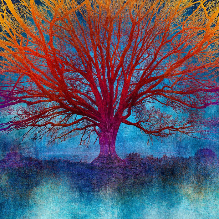 N50.9843 E 0.1180 - Limited Edition - Gigglewick Gallery