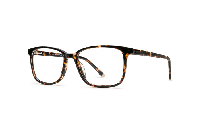 3970101390 Tortoise image-3