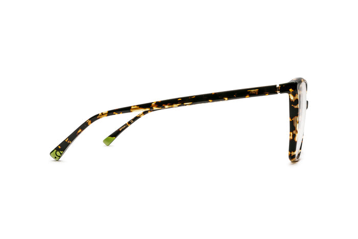 9040105160 Tortoise image-2