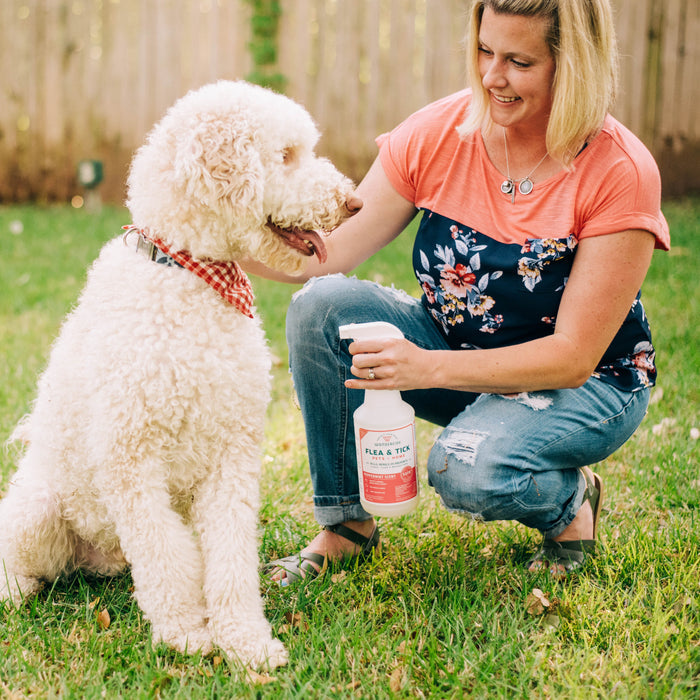 A woman kneels on grass, smiling at a fluffy white dog in a red bandana. She holds Wondercide’s Apartment Treatment Kit | Flea & Tick Spray. They’re outdoors together in a sunny, fenced yard.