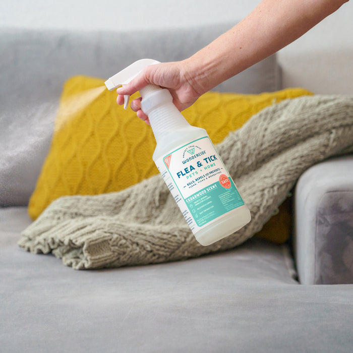 A hand sprays Wondercide’s Apartment Treatment Kit | Flea & Tick Spray, made with natural essential oils and safe for pets, onto a gray couch with a green knitted blanket and a yellow cushion in the background.