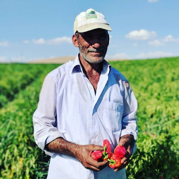 Black Urfa Chili (Urfa biber) - Single Origin Spice