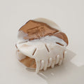 Calacatta Sand Dollar Claw Clip