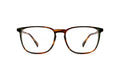 9040103800 Tortoise image-1