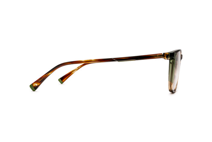 9040103800 Tortoise image-2