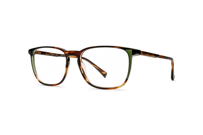 9040103800 Tortoise image-3