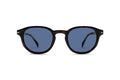 1000019610 Tortoise image-1