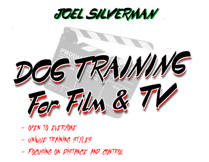 Dog Training For Film and TV - Chicago - April 20-23 (2nd payment)