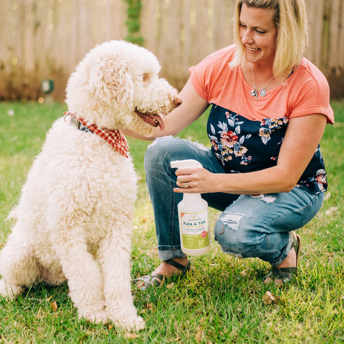 A woman in a floral top kneels on grass, smiling at a large white dog in a red bandana. She holds Wondercide’s Early Intervention Kit | Flea & Tick Spray, ideal for flea prevention, in a fenced backyard.