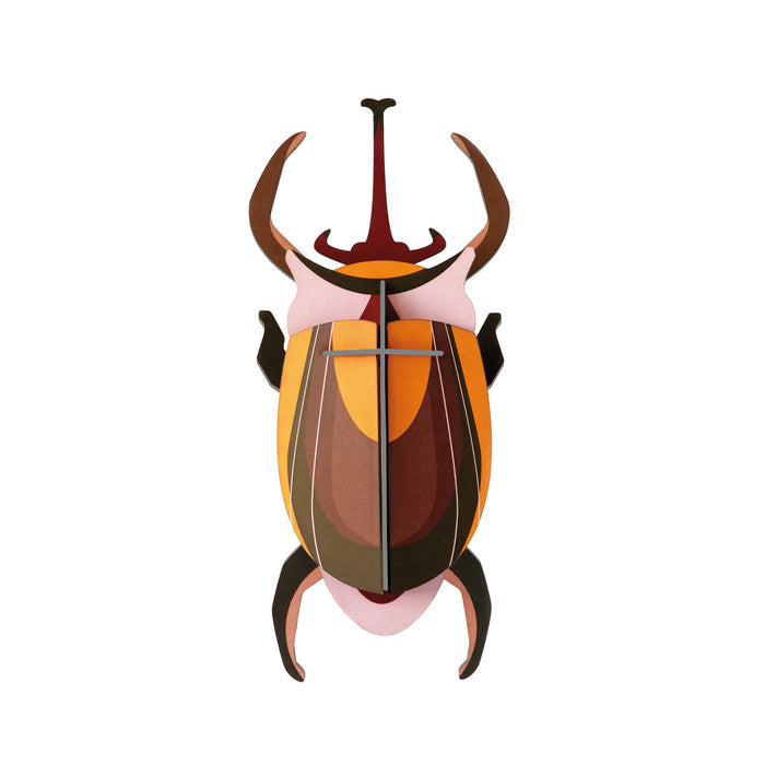 Elephant Beetle