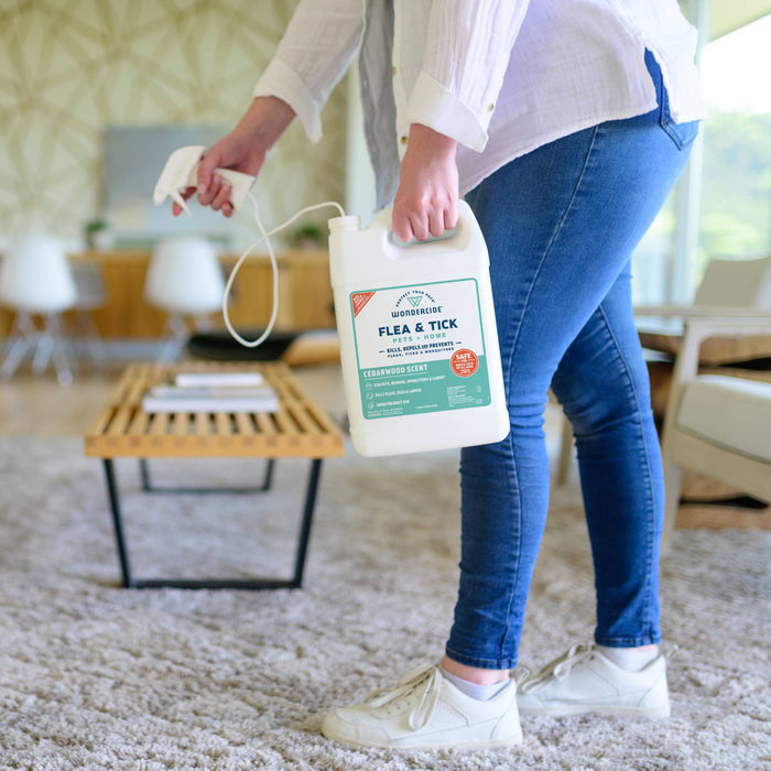 Wearing jeans and white sneakers, a person carries a 128 oz. Wondercide Cedarwood Flea & Tick Spray with a spray nozzle across a bright modern living room with a beige rug and wooden coffee table, safe for dogs and cats.