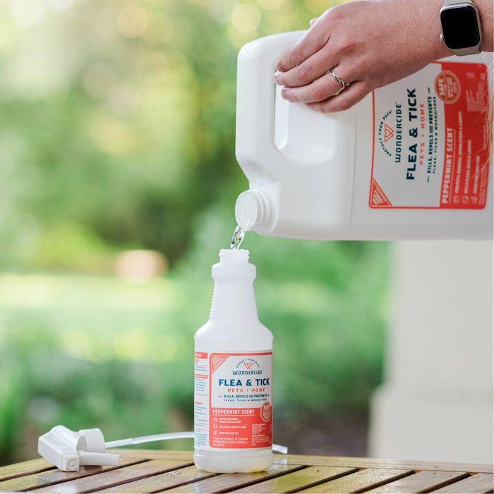 A hand pours Wondercide 128 oz. Peppermint Flea & Tick Spray, made with natural essential oils and pet-safe, from a large jug into a smaller spray bottle on a wooden surface with a green outdoor background.
