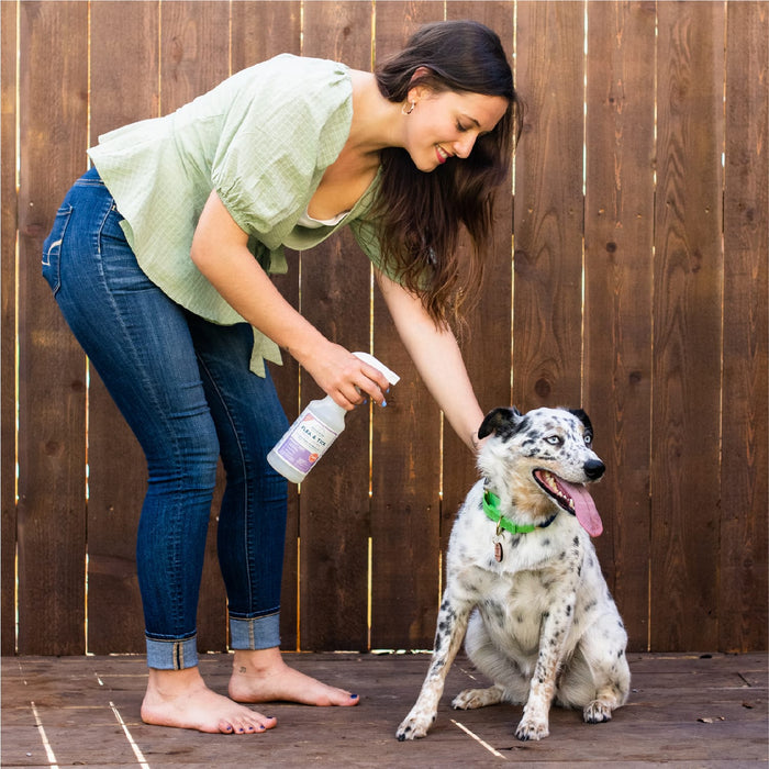 A smiling woman in a green blouse and jeans sprays Wondercide 128 oz. Rosemary Flea & Tick Spray, safe for pets, while petting a happy black-and-white dog with its tongue out on a wooden deck by a fence.