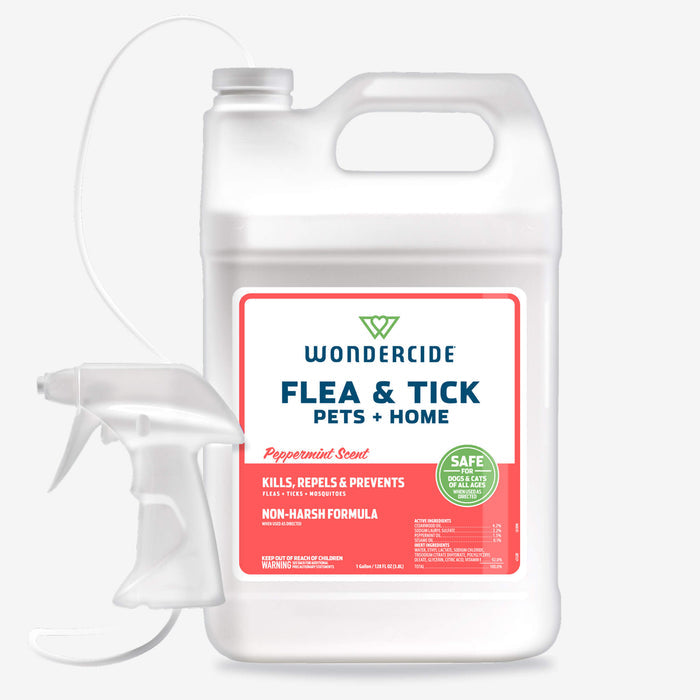 Peppermint / 128oz Gallon