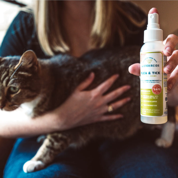 A person holds a cat while preparing to use Wondercide's Flea & Tick Spray Scent Sampler, a plant-powered, pet-safe product for dogs and cats.