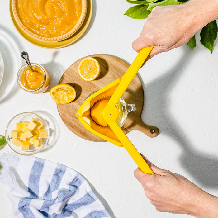 Fold Flat Easy Juicer