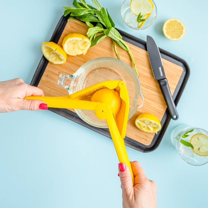 Fold Flat Easy Juicer