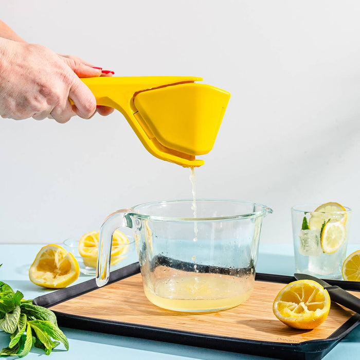 Fold Flat Easy Juicer