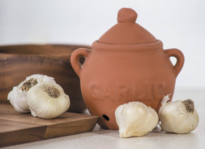Fox Run Garlic Keeper, Terra Cotta, 4.25" x 5.25"