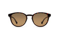 7000385330 Tortoise image-1