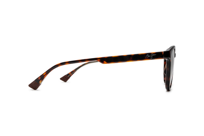 7000385330 Tortoise image-2