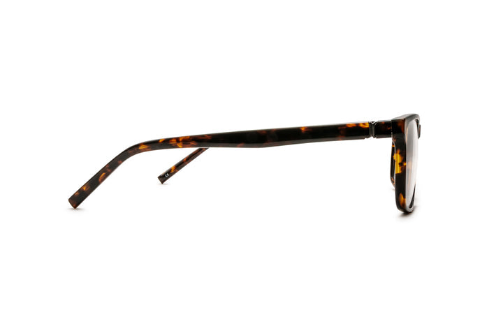 3790300230 Tortoise image-2
