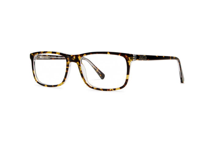 9080300030 Tortoise image-3
