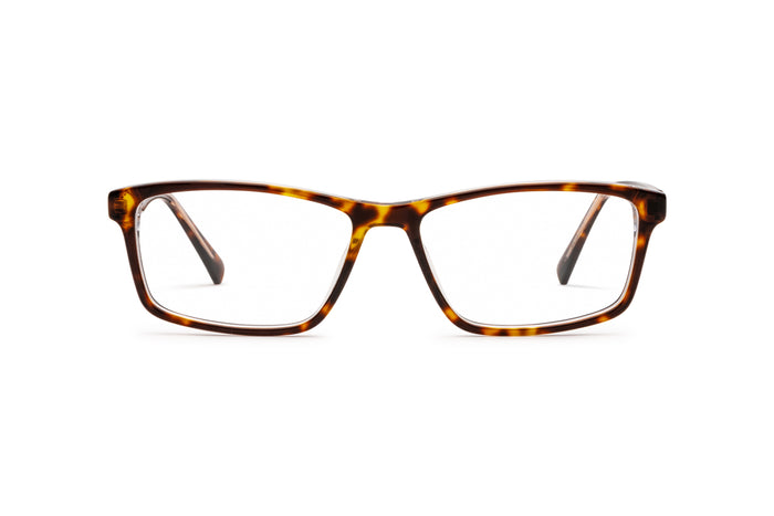 9080300510 Tortoise image-1