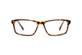 9080300510 Tortoise image-1