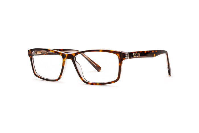 9080300510 Tortoise image-3