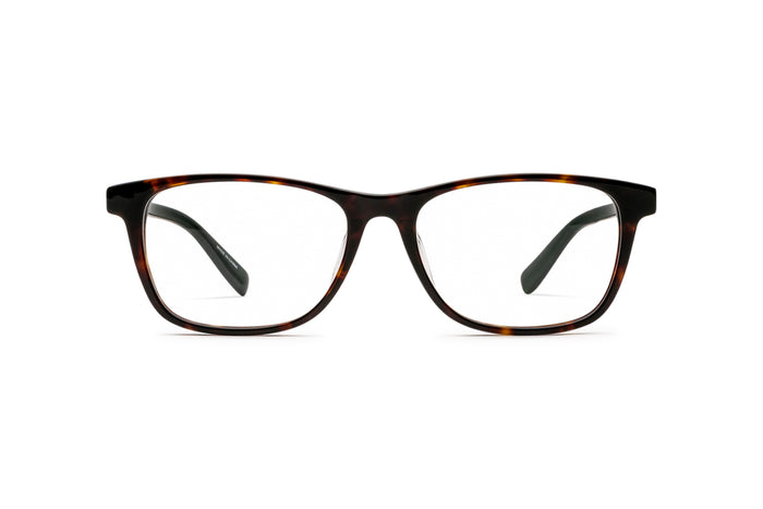 2130101760 Tortoise/Green image-1