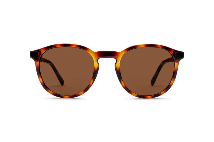 2131100740 Tortoise image-1
