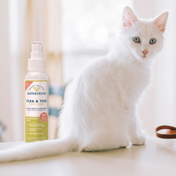 A fluffy white kitten sits on a counter next to Wondercide Lemongrass Flea & Tick Spray for Pets + Home, with natural light softly streaming through a window in the background.