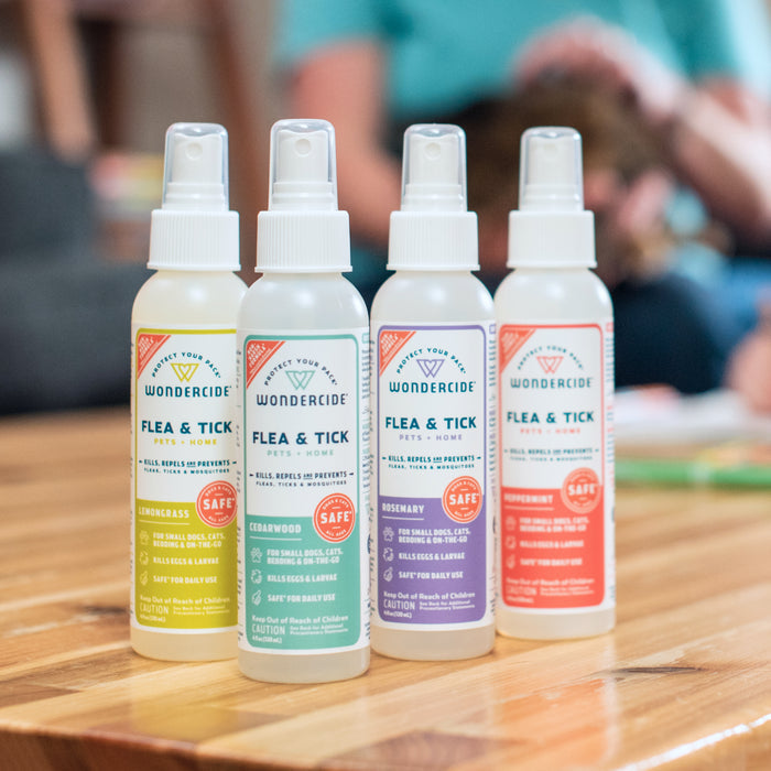 Four bottles of Wondercide Lemongrass Flea & Tick Spray for Pets + Home sit on a wooden table, with a blurred background featuring people and their pets.