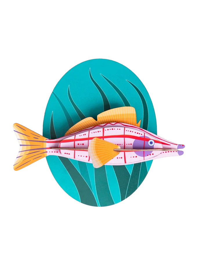 Longnose Hawkfish