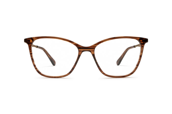 3970101790 Tortoise/Gold image-1