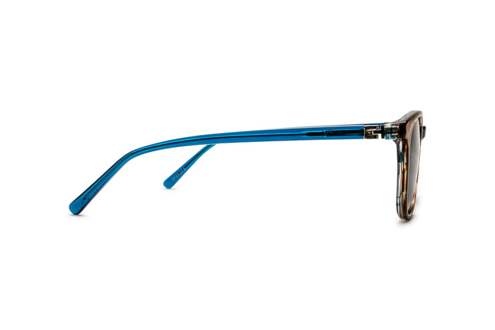 4890500340 Tortoise/Blue image-2