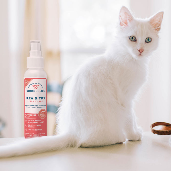 A white cat with blue eyes sits next to a bottle of Wondercide Peppermint Flea & Tick Spray for Pets + Home, shown in a softly lit, neutral setting to highlight it's safe for both dogs and cats.