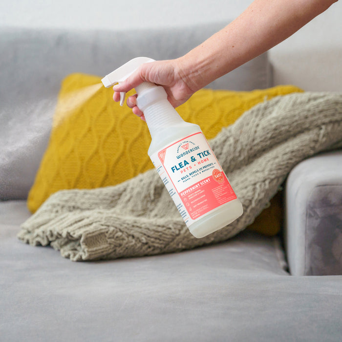 A hand sprays Wondercide Peppermint Flea & Tick Spray for Pets + Home onto a gray couch with a green knitted blanket and a yellow cushion in the background.