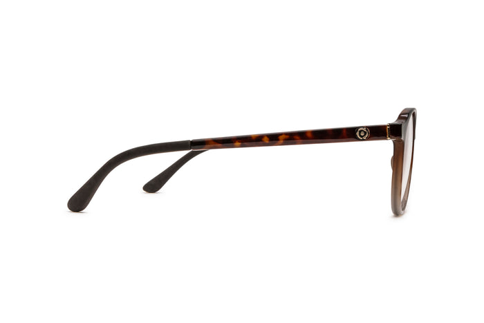 9340101240 Tortoise image-2