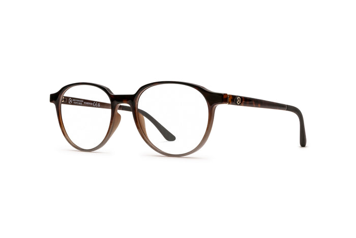 9340101240 Tortoise image-4