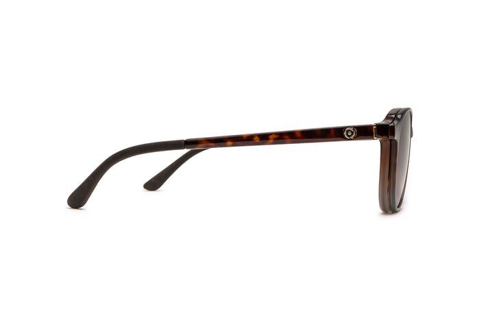 9340101240 Tortoise image-6