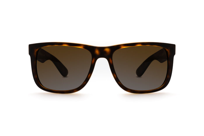 5547104520 Tortoise image-1
