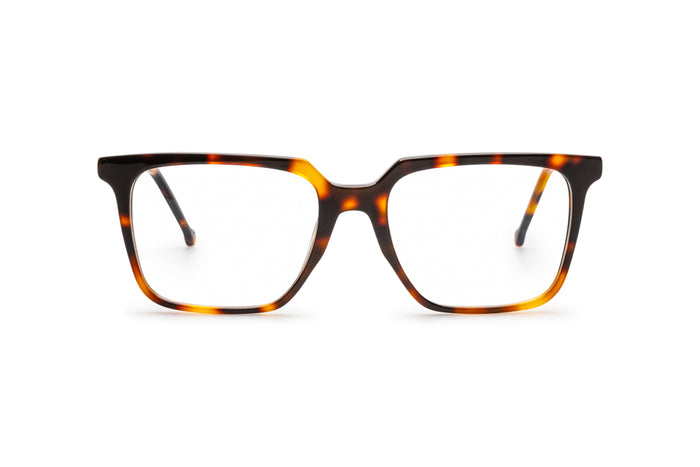 4750100380 Tortoise image-1