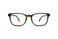 3330110480 Tortoise image-1