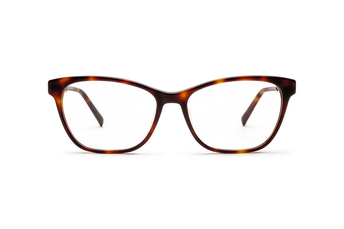 1080102320 Half brown/Gold image-1