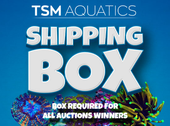 Shipping Box - Distant States