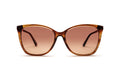 3440100390 Tortoise image-1